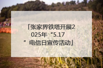 张家界铁塔开展2025年“5.17”电信日宣传活动