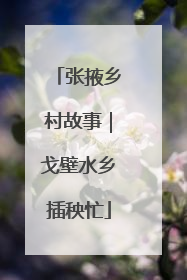 张掖乡村故事｜戈壁水乡插秧忙