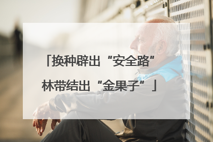 换种辟出“安全路” 林带结出“金果子”