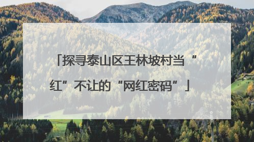 探寻泰山区王林坡村当“红”不让的“网红密码”