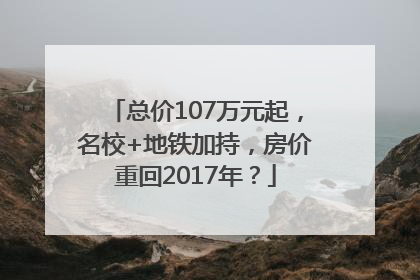 总价107万元起，名校+地铁加持，房价重回2017年？