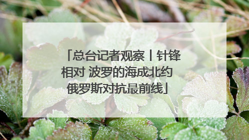 总台记者观察丨针锋相对 波罗的海成北约俄罗斯对抗最前线