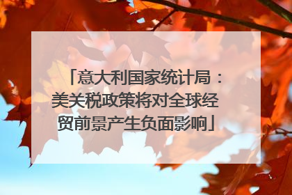 意大利国家统计局：美关税政策将对全球经贸前景产生负面影响