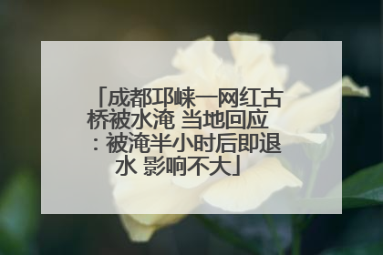 成都邛崃一网红古桥被水淹 当地回应：被淹半小时后即退水 影响不大