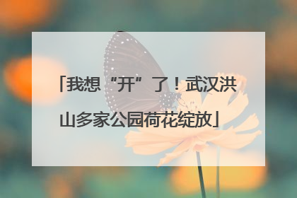 我想“开”了！武汉洪山多家公园荷花绽放