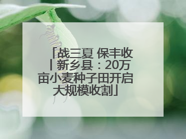 战三夏 保丰收丨新乡县：20万亩小麦种子田开启大规模收割