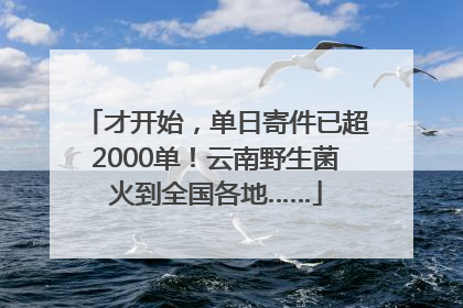 才开始，单日寄件已超2000单！云南野生菌火到全国各地……