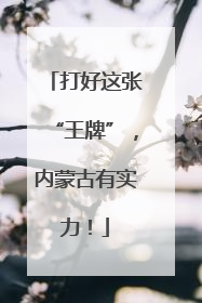 打好这张“王牌”，内蒙古有实力！