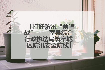 打好防汛“前哨战”——莘县综合行政执法局筑牢城区防汛安全防线