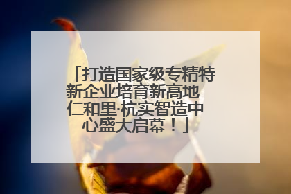 打造国家级专精特新企业培育新高地 仁和里·杭实智造中心盛大启幕！