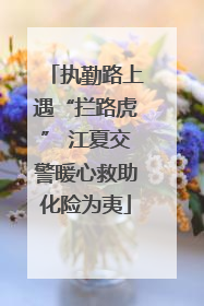 执勤路上遇“拦路虎” 江夏交警暖心救助化险为夷