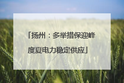 扬州：多举措保迎峰度夏电力稳定供应