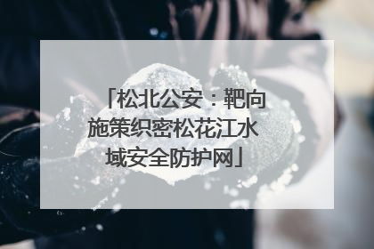 松北公安：靶向施策织密松花江水域安全防护网