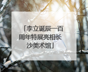 李立诞辰一百周年特展亮相长沙美术馆