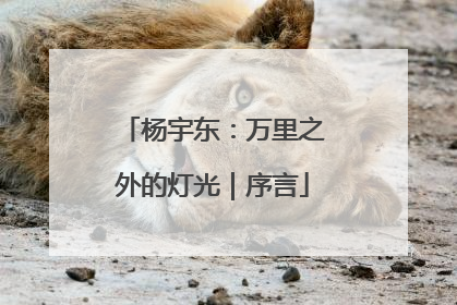 杨宇东：万里之外的灯光｜序言