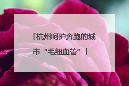 杭州呵护奔跑的城市“毛细血管”