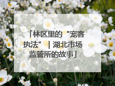 林区里的“宠客执法”｜湖北市场监管所的故事