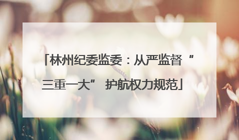 林州纪委监委：从严监督“三重一大” 护航权力规范