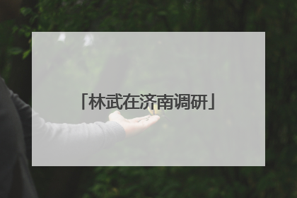 林武在济南调研