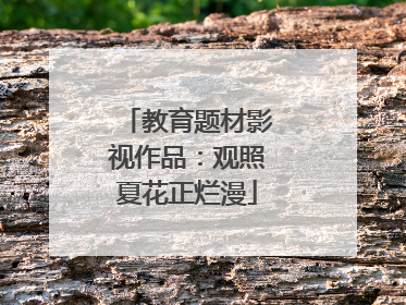 教育题材影视作品：观照夏花正烂漫