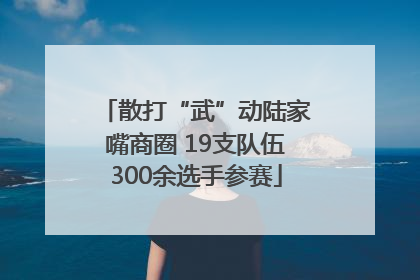 散打“武”动陆家嘴商圈 19支队伍300余选手参赛