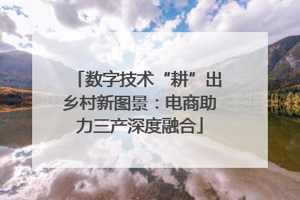 数字技术“耕”出乡村新图景：电商助力三产深度融合