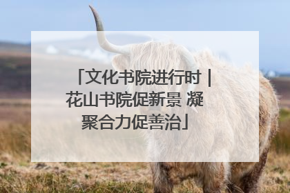 文化书院进行时｜花山书院促新景 凝聚合力促善治
