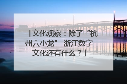 文化观察：除了“杭州六小龙” 浙江数字文化还有什么？