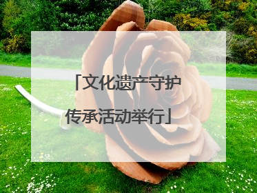 文化遗产守护传承活动举行