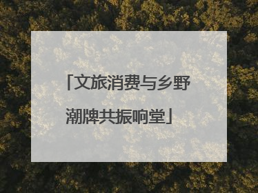 文旅消费与乡野潮牌共振响堂