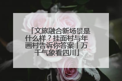 文旅融合新场景是什么样？挂面村与年画村告诉你答案丨万千气象看四川