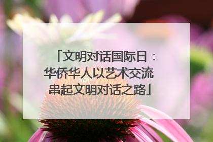文明对话国际日：华侨华人以艺术交流串起文明对话之路