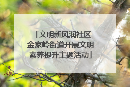 文明新风润社区 金家岭街道开展文明素养提升主题活动