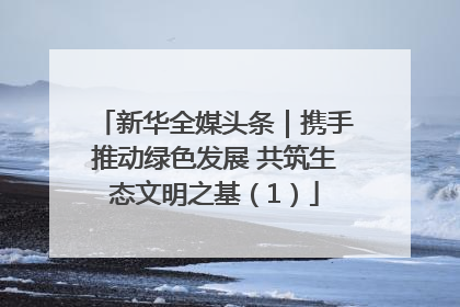 新华全媒头条｜携手推动绿色发展 共筑生态文明之基（1）