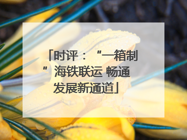 时评：“一箱制”海铁联运 畅通发展新通道