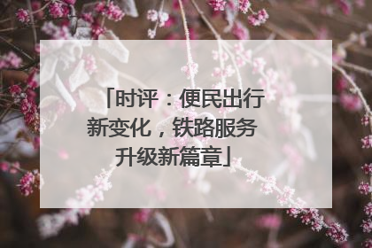 时评：便民出行新变化，铁路服务升级新篇章