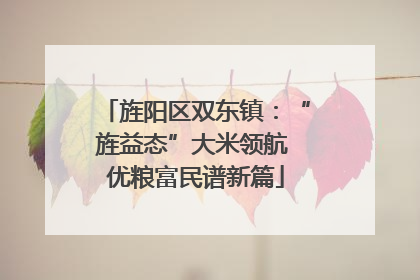 旌阳区双东镇：“旌益态”大米领航 优粮富民谱新篇