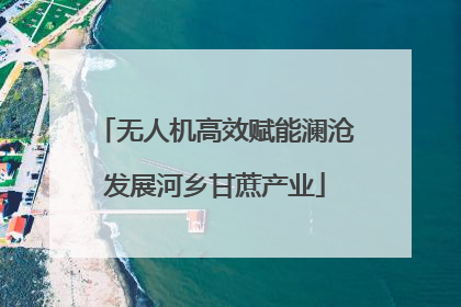 无人机高效赋能澜沧发展河乡甘蔗产业