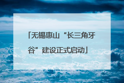 无锡惠山“长三角牙谷”建设正式启动