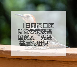 日照港口医院党委荣获省国资委“先进基层党组织”荣誉称号