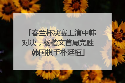 春兰杯决赛上演中韩对决，杨楷文首局完胜韩国棋手朴廷桓