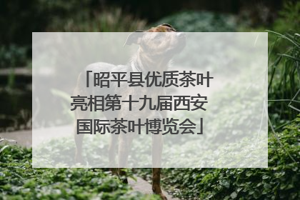 昭平县优质茶叶亮相第十九届西安国际茶叶博览会