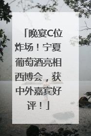 晚宴C位炸场！宁夏葡萄酒亮相西博会，获中外嘉宾好评！