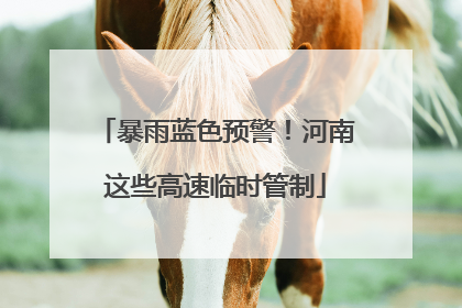 暴雨蓝色预警！河南这些高速临时管制