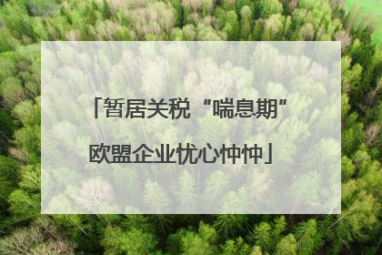暂居关税“喘息期” 欧盟企业忧心忡忡