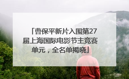 曹保平新片入围第27届上海国际电影节主竞赛单元，全名单揭晓