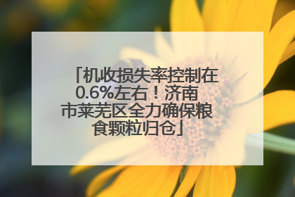 机收损失率控制在0.6%左右！济南市莱芜区全力确保粮食颗粒归仓