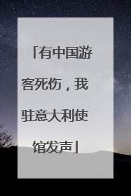 有中国游客死伤，我驻意大利使馆发声