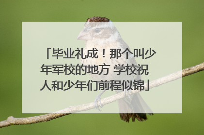 毕业礼成！那个叫少年军校的地方 学校祝人和少年们前程似锦