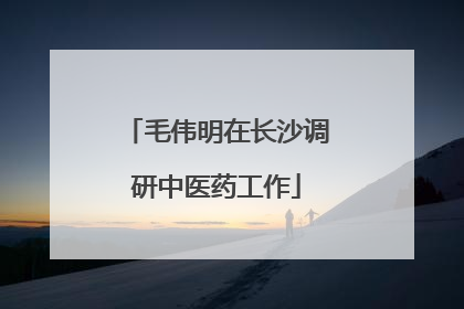 毛伟明在长沙调研中医药工作